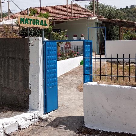 Natural Hostel ฮีมาเรอ ภายนอก รูปภาพ